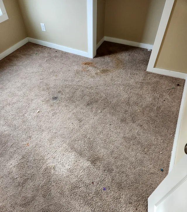 Stained, matted bedroom carpet before cleaning