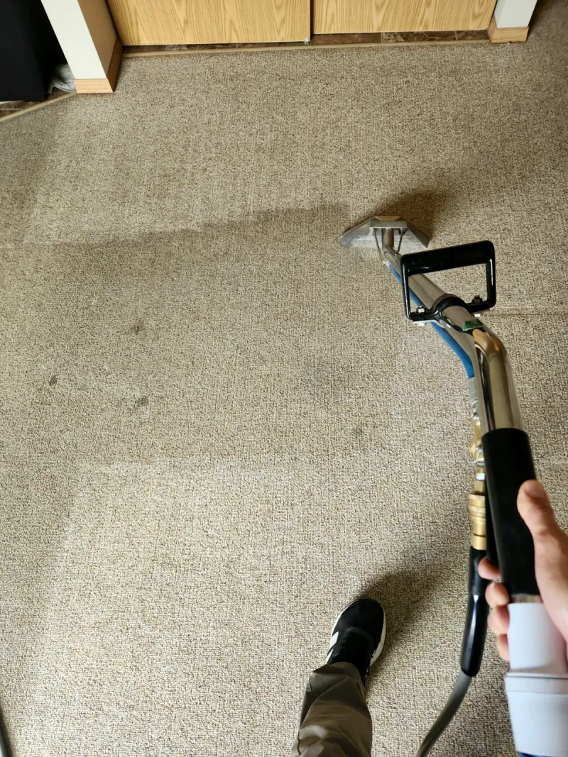 Carpet wand on tan carpet, showing a cleaned strip next to spotted, soiled carpet