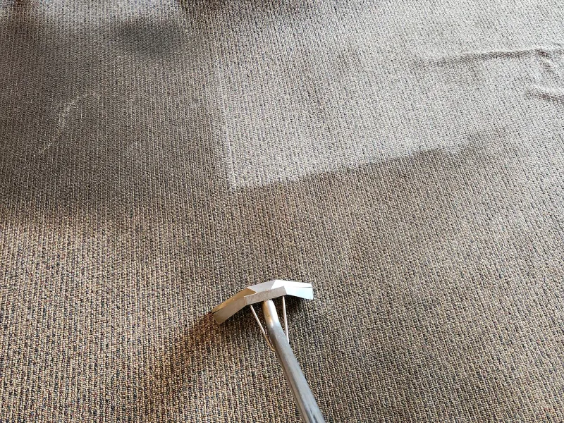 Commercial carpet mid-clean, showing the cleaned strip beside the soiled area