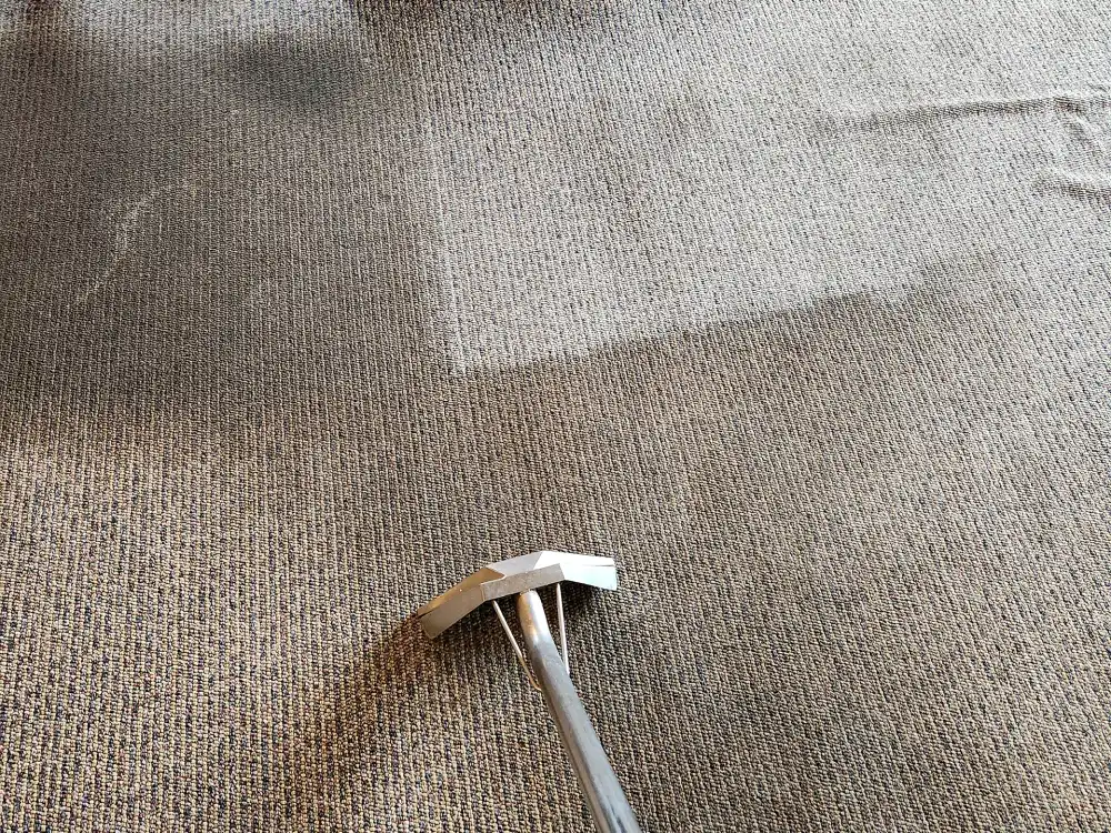 Commercial carpet mid-clean, showing the cleaned strip beside the soiled area