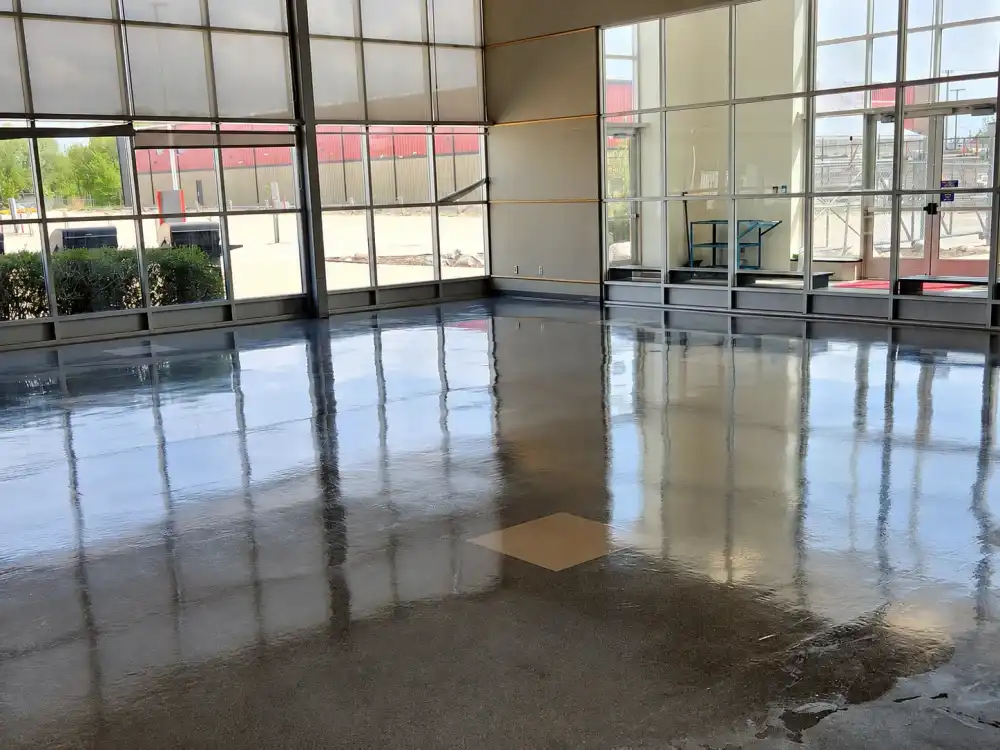 Glossy, freshly waxed commercial floor reflecting the windows