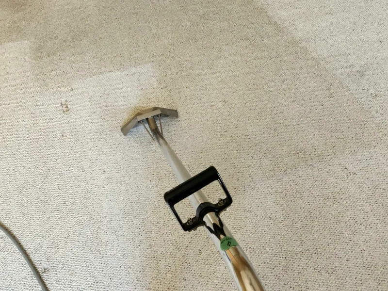 Carpet wand on beige carpet, with a lighter cleaned section beside darker soiled carpet