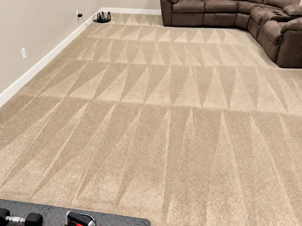 Freshly cleaned beige carpet with even cleaning lines in a basement family room
